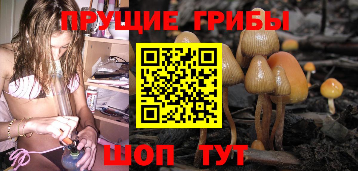 Дзержинский  Псилоцибиновые грибы ЛСД  Вход с VPN 